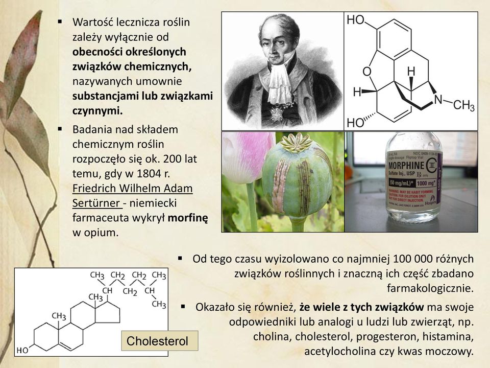 Friedrich Wilhelm Adam Sertürner - niemiecki farmaceuta wykrył morfinę w opium.