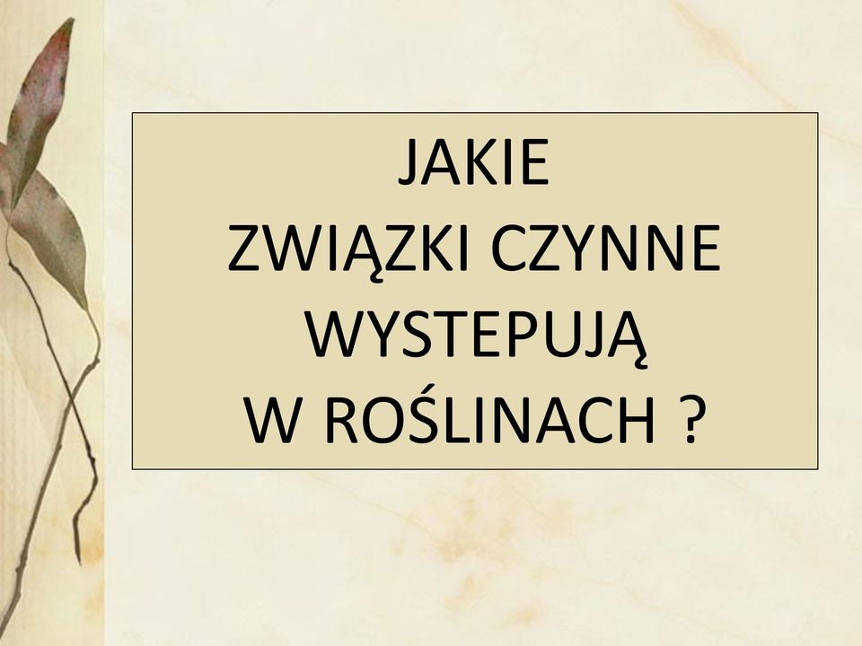 CZYNNE