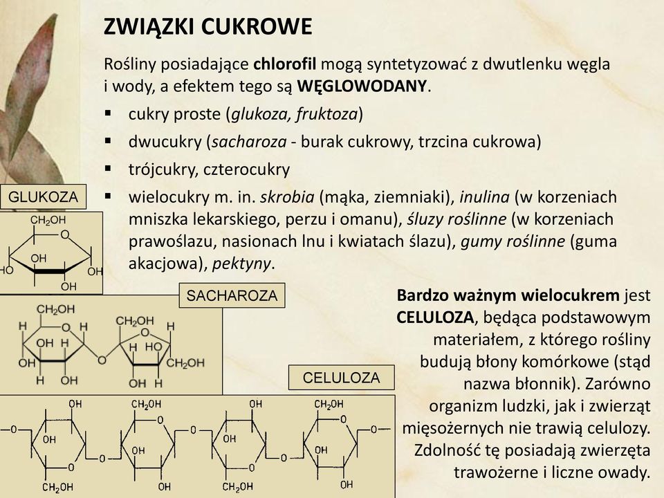 skrobia (mąka, ziemniaki), inulina (w korzeniach mniszka lekarskiego, perzu i omanu), śluzy roślinne (w korzeniach prawoślazu, nasionach lnu i kwiatach ślazu), gumy roślinne (guma