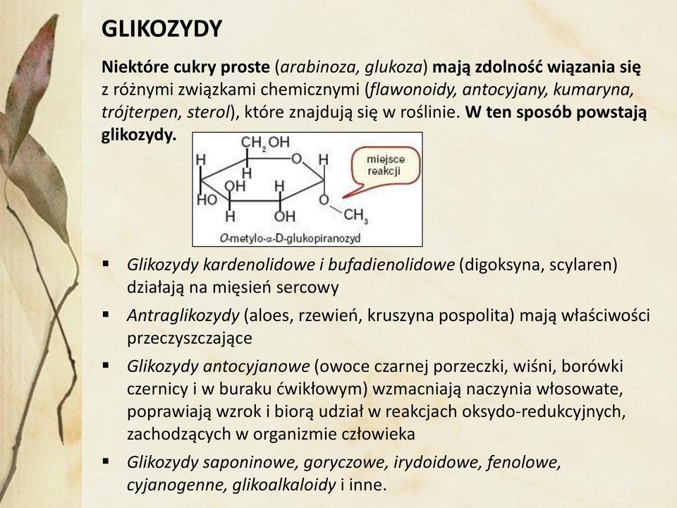 Glikozydy kardenolidowe i bufadienolidowe (digoksyna, scylaren) działają na mięsień sercowy Antraglikozydy (aloes, rzewień, kruszyna pospolita) mają właściwości przeczyszczające