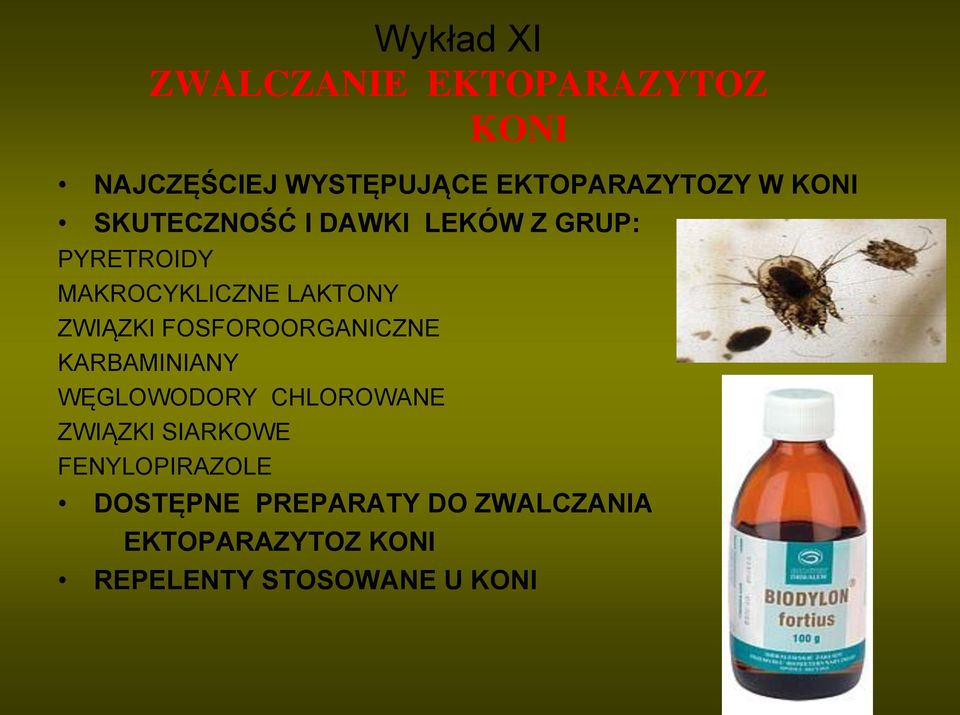 FOSFOROORGANICZNE KARBAMINIANY WĘGLOWODORY CHLOROWANE ZWIĄZKI SIARKOWE