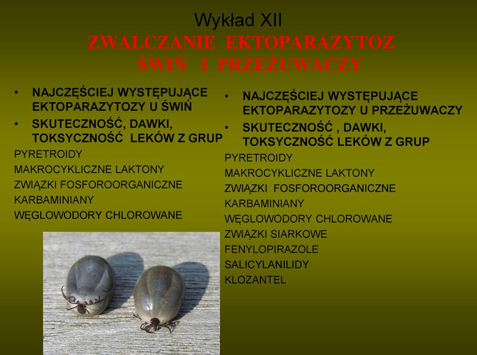 NAJCZĘŚCIEJ WYSTĘPUJĄCE EKTOPARAZYTOZY U PRZEŻUWACZY SKUTECZNOŚĆ, DAWKI,  ZWIĄZKI SIARKOWE FENYLOPIRAZOLE SALICYLANILIDY