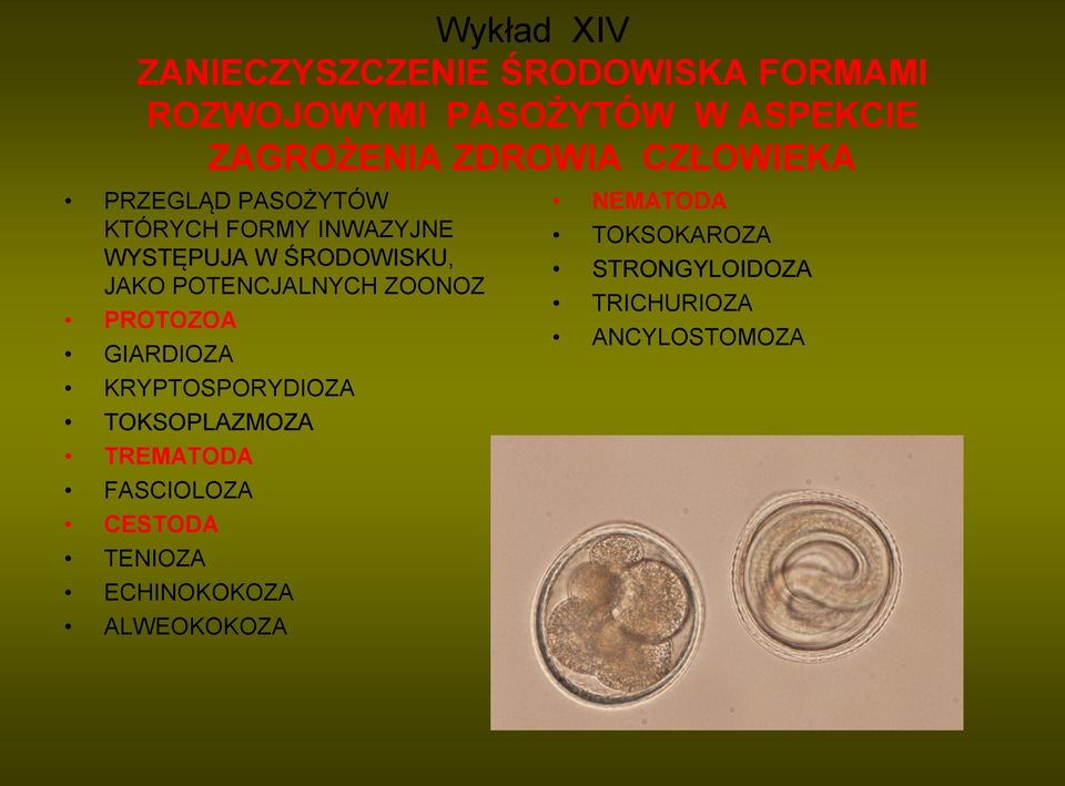 POTENCJALNYCH ZOONOZ PROTOZOA GIARDIOZA KRYPTOSPORYDIOZA TOKSOPLAZMOZA TREMATODA FASCIOLOZA