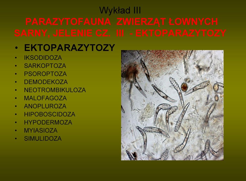 SARKOPTOZA PSOROPTOZA DEMODEKOZA NEOTROMBIKULOZA