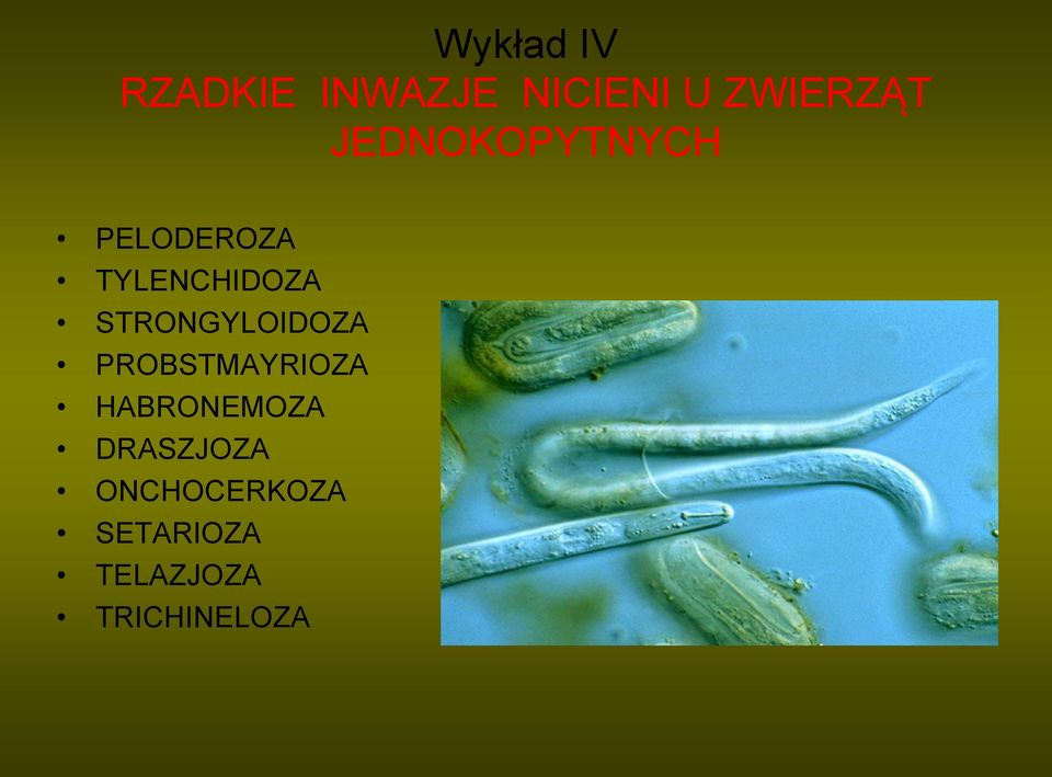 STRONGYLOIDOZA PROBSTMAYRIOZA HABRONEMOZA