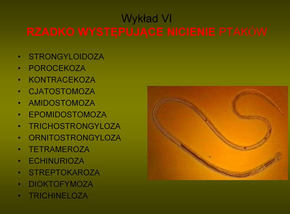 AMIDOSTOMOZA EPOMIDOSTOMOZA TRICHOSTRONGYLOZA