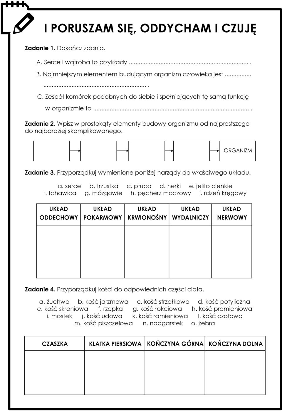 serce b. trzustka c. płuca d. nerki e. jelito cienkie f. tchawica g. mózgowie h. pęcherz moczowy i. rdzeń kręgowy ODDECHOWY POKARMOWY KRWIONOŚNY WYDALNICZY NERWOWY Zadanie 4.