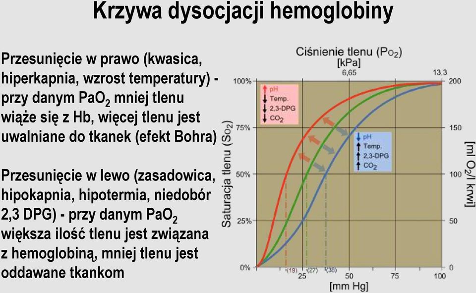 tkanek (efekt Bohra) Przesunięcie w lewo (zasadowica, hipokapnia, hipotermia, niedobór 2,3