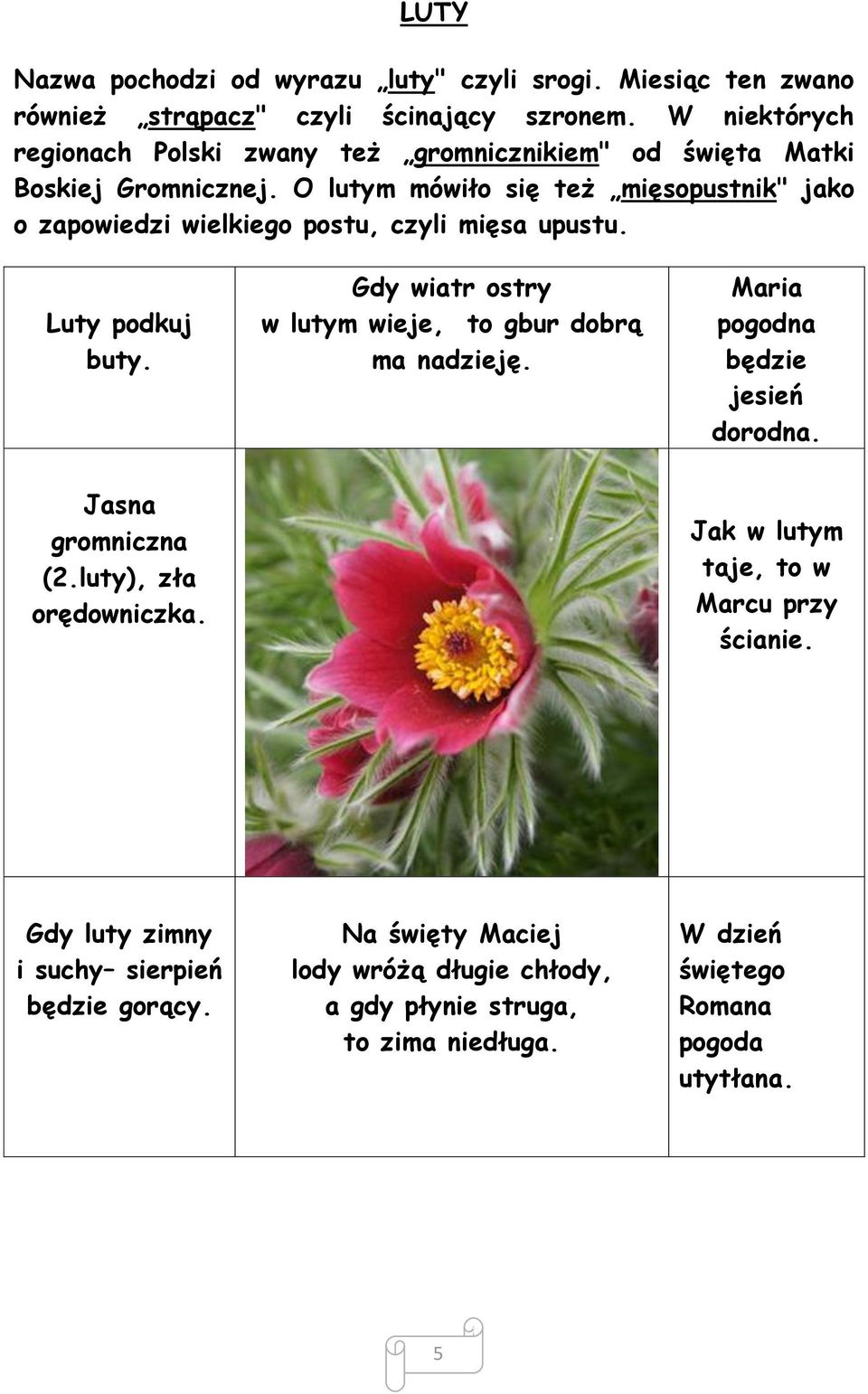 O lutym mówiło się też mięsopustnik" jako o zapowiedzi wielkiego postu, czyli mięsa upustu. Luty podkuj buty. Gdy wiatr ostry w lutym wieje, to gbur dobrą ma nadzieję.