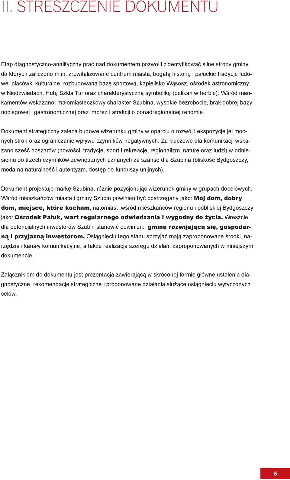 zrewitalizowane centrum miasta, bogatą historię i pałuckie tradycje ludowe, placówki kulturalne, rozbudowaną bazę sportową, kąpielisko Wąsosz, ośrodek astronomiczny w Niedźwiadach, Hutę Szkła Tur
