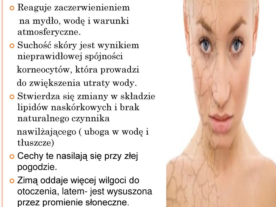 wody. Stwierdza się zmiany w składzie lipidów naskórkowych i brak naturalnego czynnika nawilżającego (