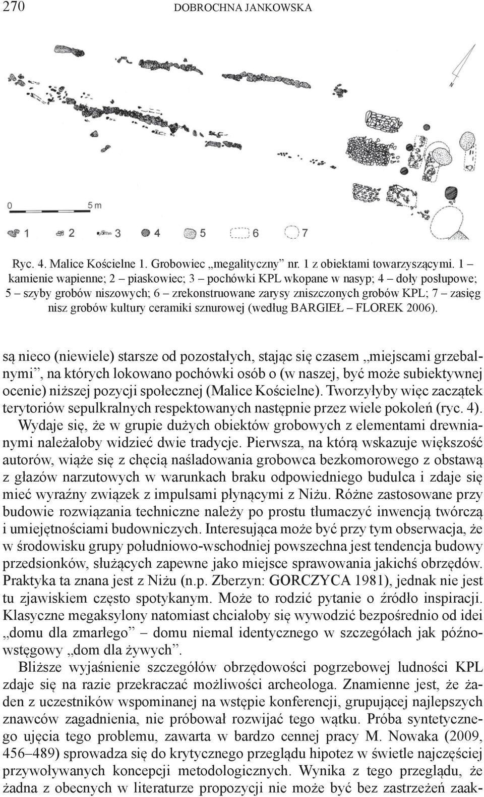sznurowej (według BARGIEŁ FLOREK 2006).