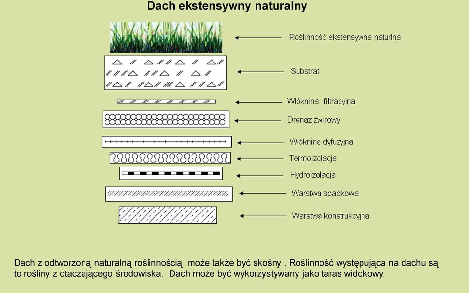 Roślinność występująca na dachu są to rośliny z