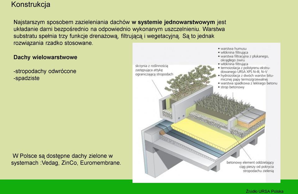 Warstwa substratu spełnia trzy funkcje drenażową, filtrującą i wegetacyjną.