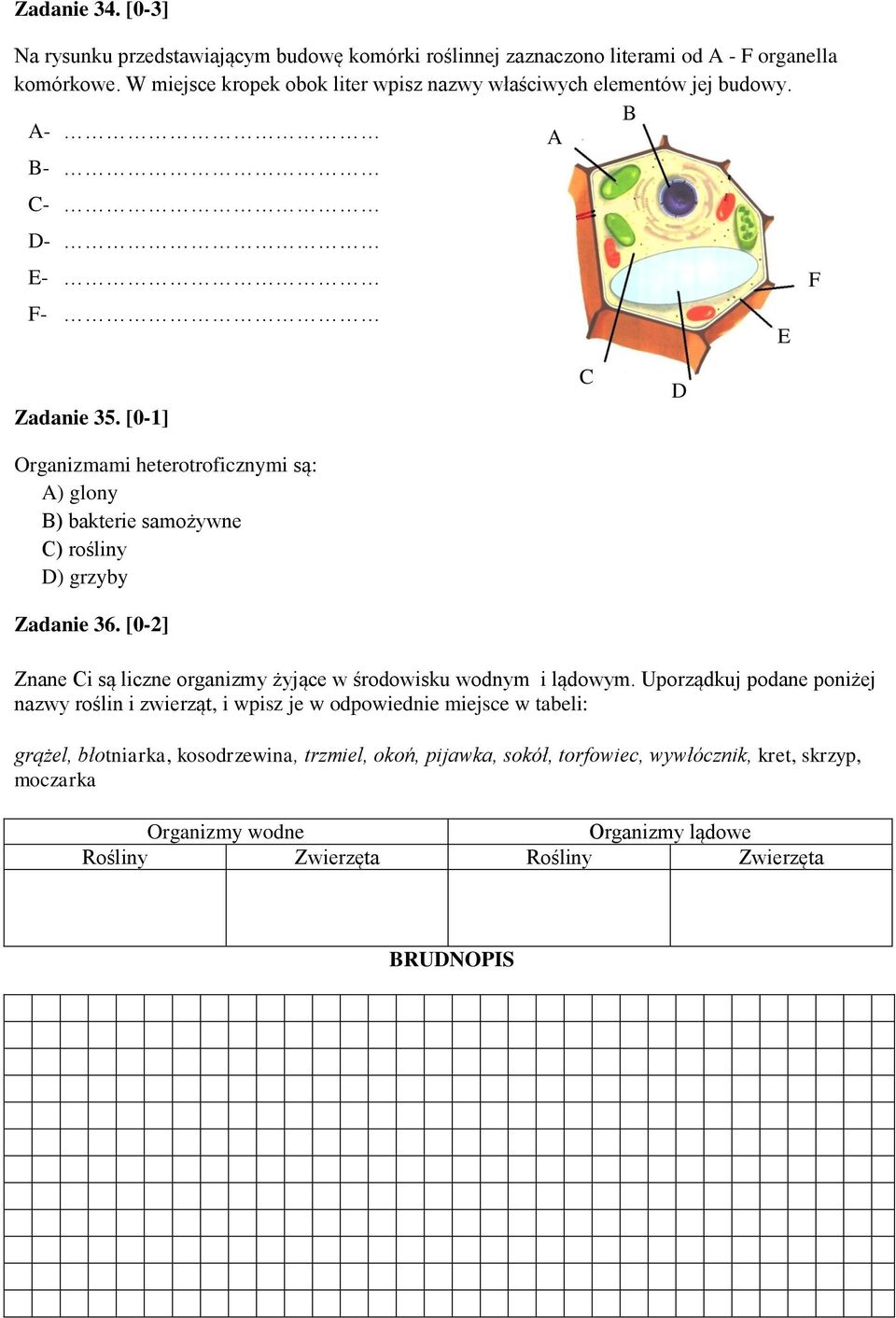 [0-1] Organizmami heterotroficznymi są: A) glony B) bakterie samożywne C) rośliny D) grzyby Zadanie 36.