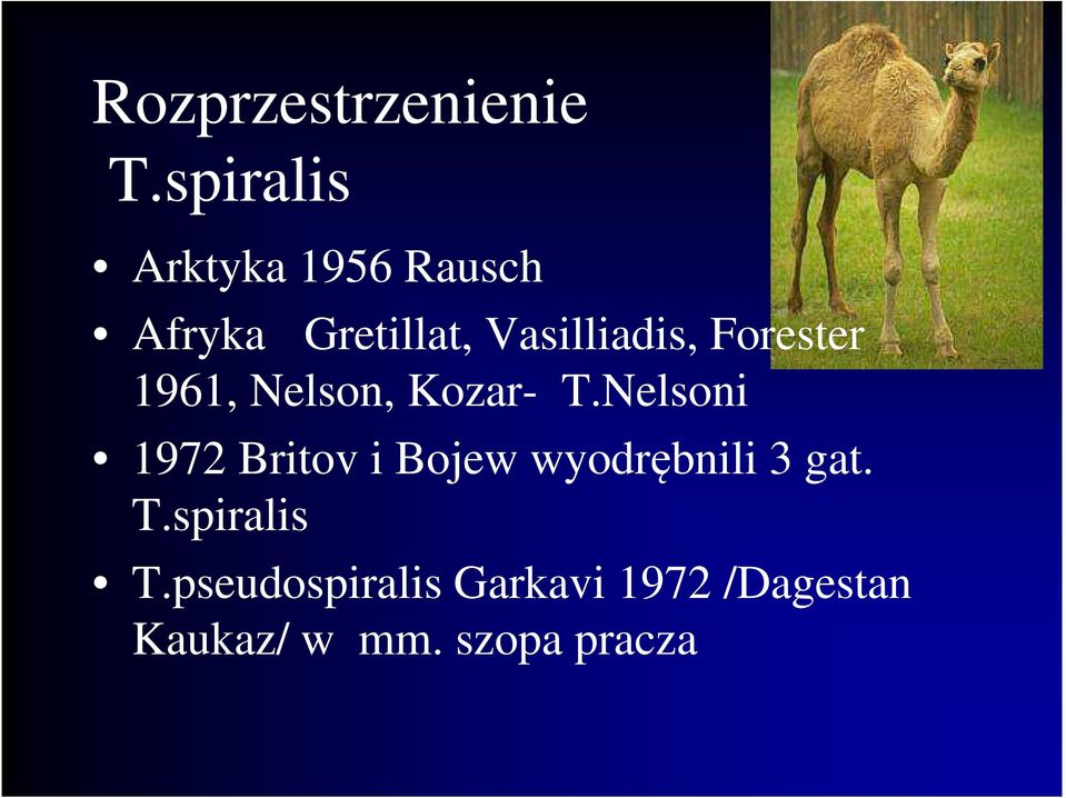 Forester 1961, Nelson, Kozar- T.