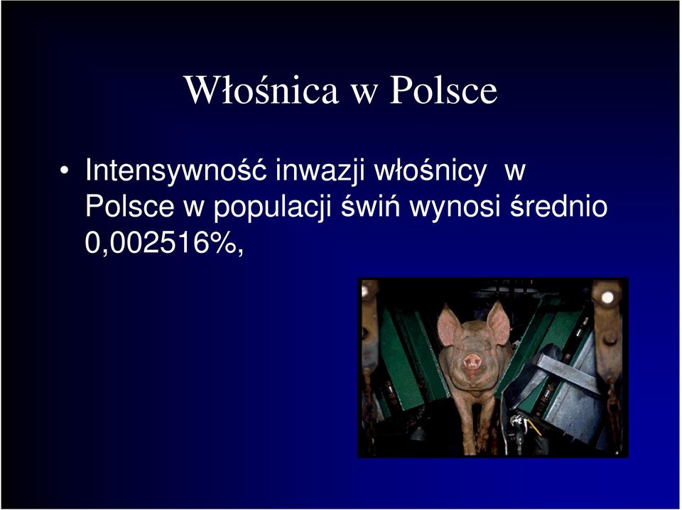 włośnicy w Polsce w