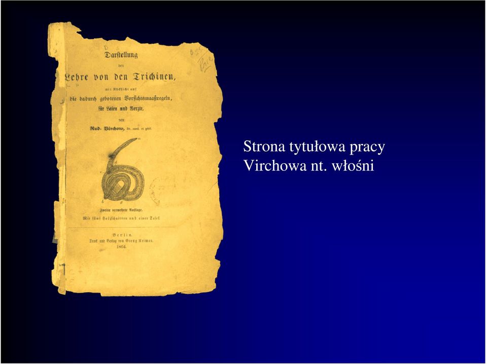 pracy