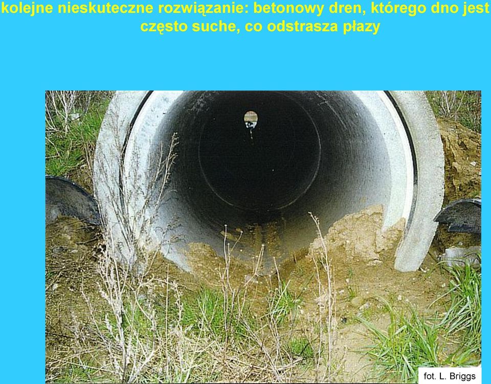 którego dno jest często