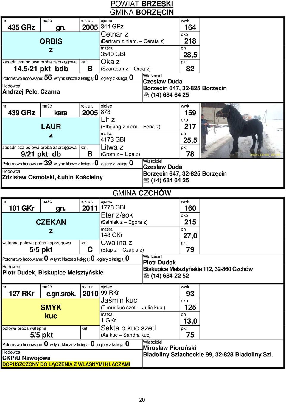 niem Feria ) 4173 GBł asadnica polowa próba apręgowa Litwa 9/21 db B (Grom Lipa ) Potomstwo hodowlane: 39 w tym: klace księgą: 0, ogiery księgą: 0 Zdisław Osmólski, Łubin Kościelny 101 GKr CZEKAN