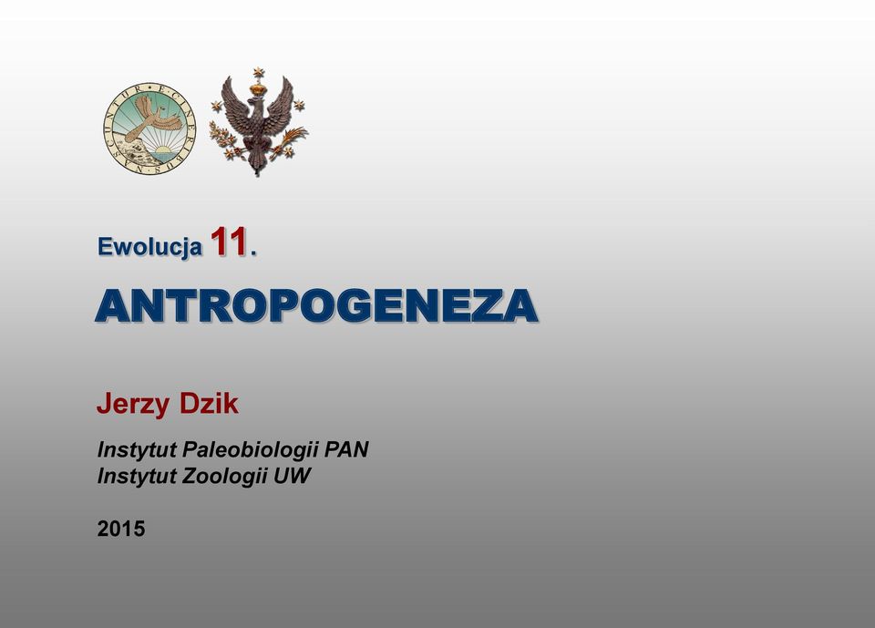 Dzik Instytut
