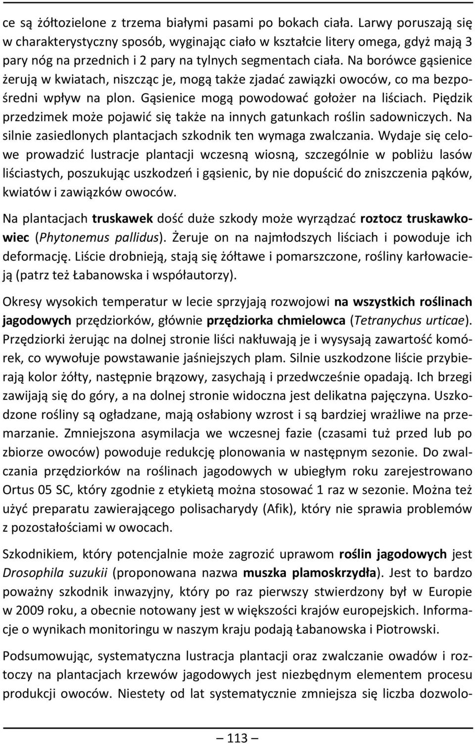 Na borówce gąsienice żerują w kwiatach, niszcząc je, mogą także zjadać zawiązki owoców, co ma bezpośredni wpływ na plon. Gąsienice mogą powodować gołożer na liściach.