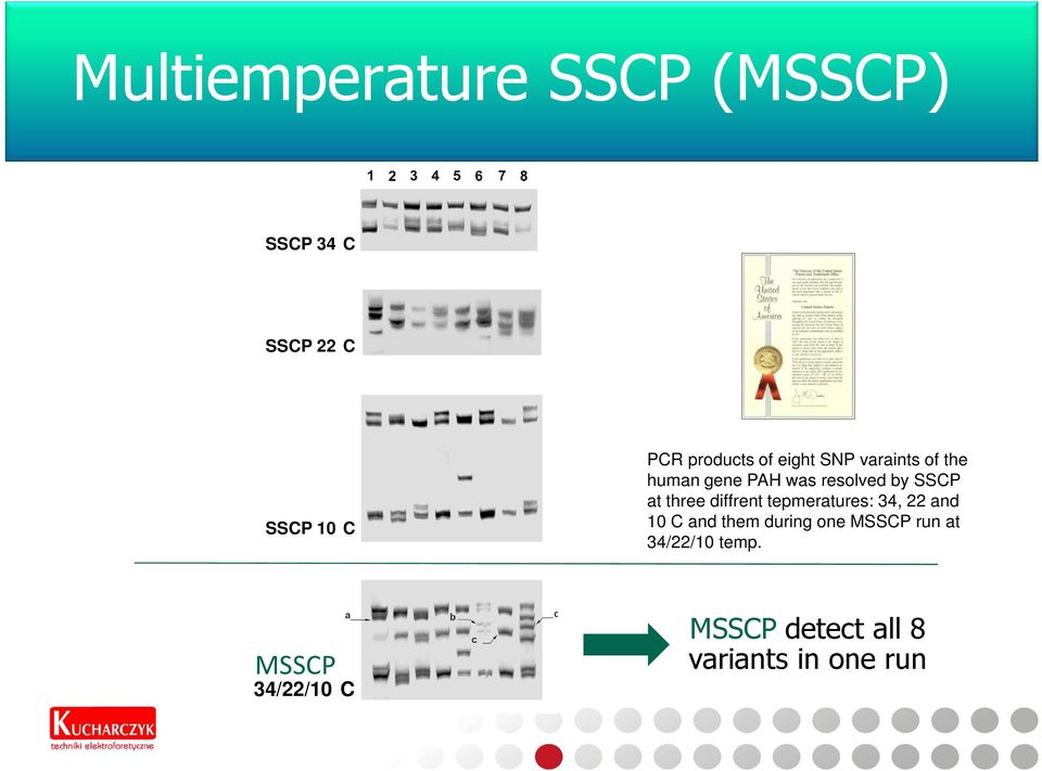 three diffrent tepmeratures: 34, 22 and 10 C and them during one MSSCP