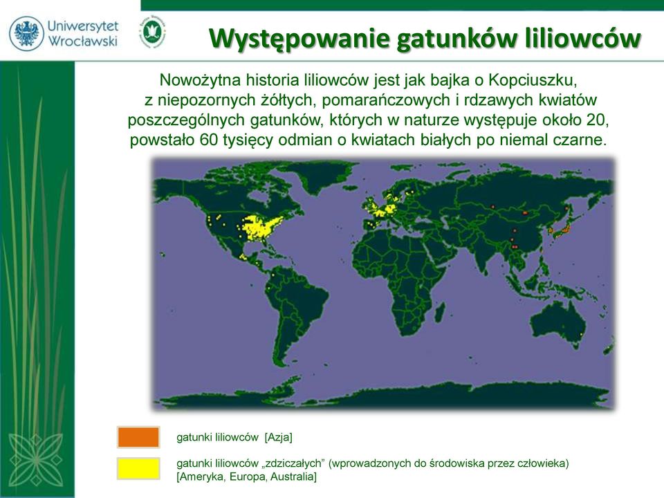 występuje około 20, powstało 60 tysięcy odmian o kwiatach białych po niemal czarne.