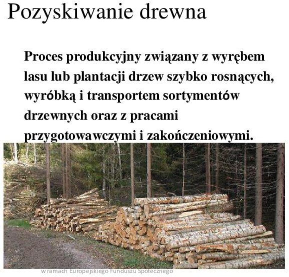 rosnących, wyróbką i transportem sortymentów
