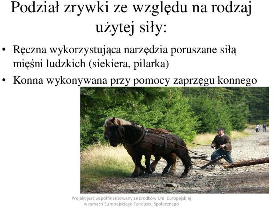 poruszane siłą mięśni ludzkich (siekiera,