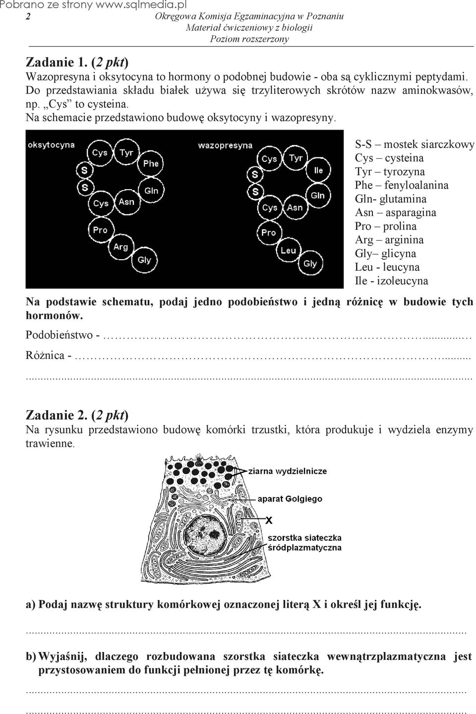 S-S mostek siarczkowy Cys cysteina Tyr tyrozyna Phe fenyloalanina Gln- glutamina Asn asparagina Pro prolina Arg arginina Gly glicyna Leu - leucyna Ile - izoleucyna Na podstawie schematu, podaj jedno
