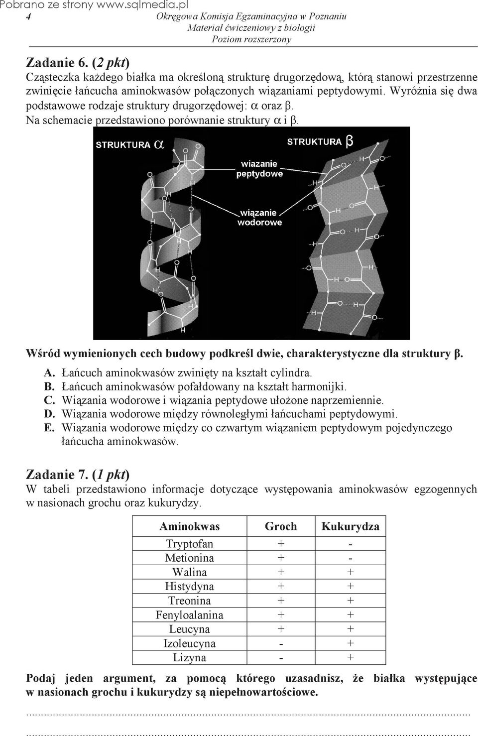 Łacuch aminokwasów zwinity na kształt cylindra. B. Łacuch aminokwasów pofałdowany na kształt harmonijki. C. Wizania wodorowe i wizania peptydowe ułoone naprzemiennie. D.