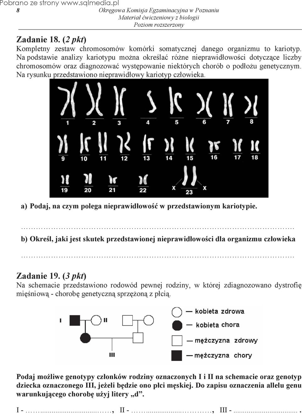 Na rysunku przedstawiono nieprawidłowy kariotyp człowieka. a) Podaj, na czym polega nieprawidłowo w przedstawionym kariotypie.