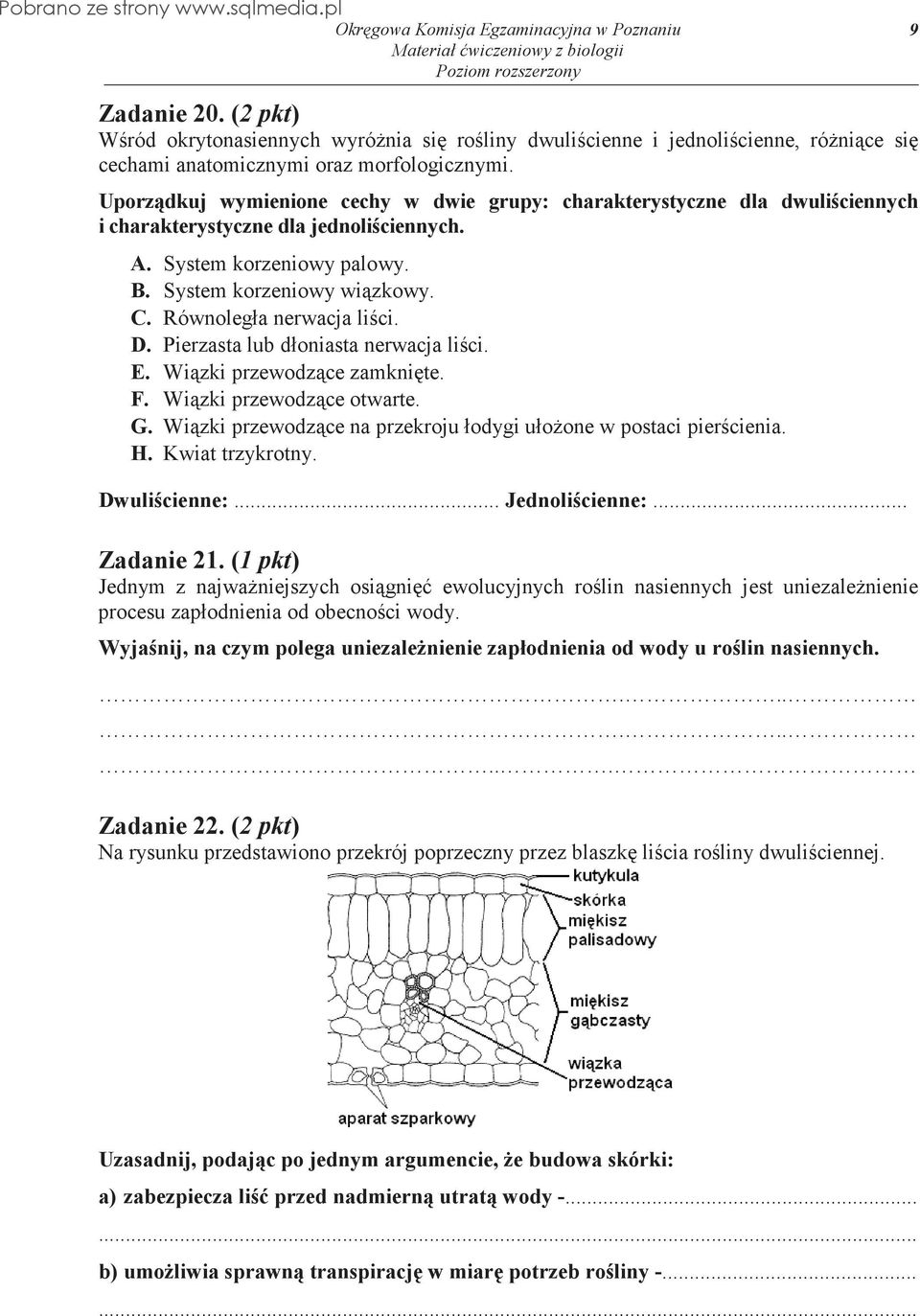 Równoległa nerwacja lici. D. Pierzasta lub dłoniasta nerwacja lici. E. Wizki przewodzce zamknite. F. Wizki przewodzce otwarte. G. Wizki przewodzce na przekroju łodygi ułoone w postaci piercienia. H.