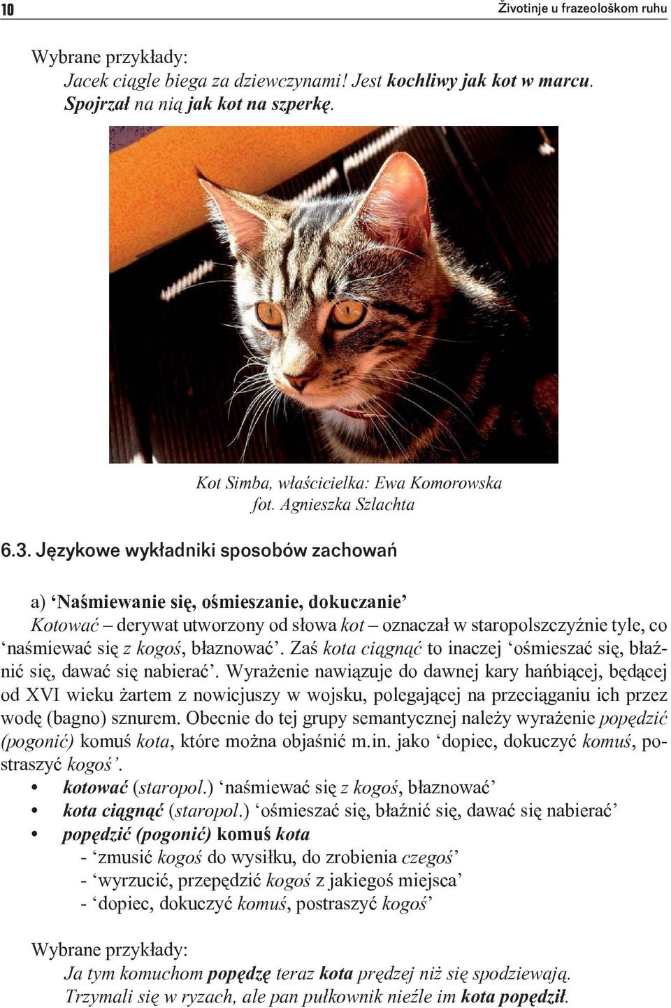 Językowe wykładniki sposobów zachowań a) Naśmiewanie się, ośmieszanie, dokuczanie Kotować derywat utworzony od słowa kot oznaczał w staropolszczyźnie tyle, co naśmiewać się z kogoś, błaznować.
