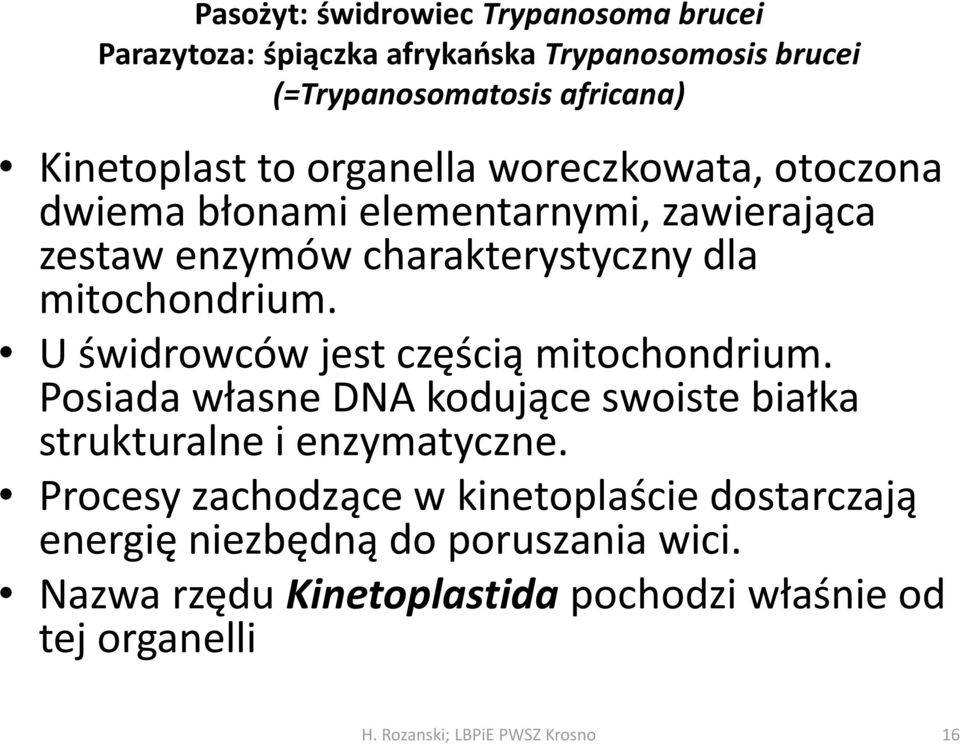 mitochondrium. U świdrowców jest częścią mitochondrium. Posiada własne DNA kodujące swoiste białka strukturalne i enzymatyczne.