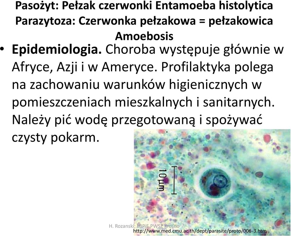 Profilaktyka polega na zachowaniu warunków higienicznych w pomieszczeniach mieszkalnych i