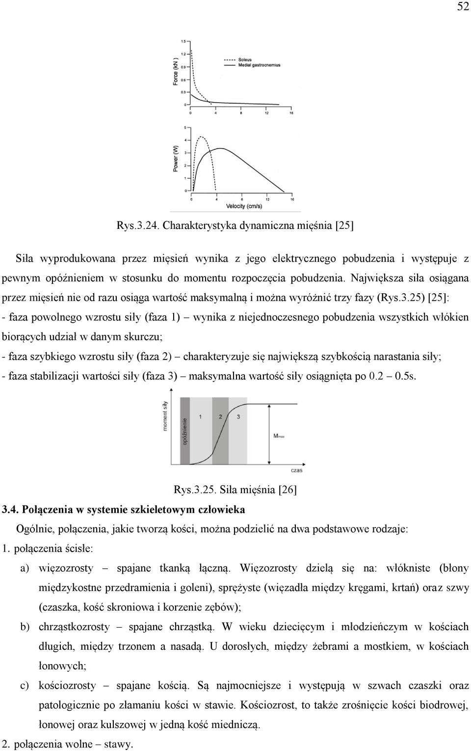 Największa siła osiągana przez mięsień nie od razu osiąga wartość maksymalną i można wyróżnić trzy fazy (Rys.3.