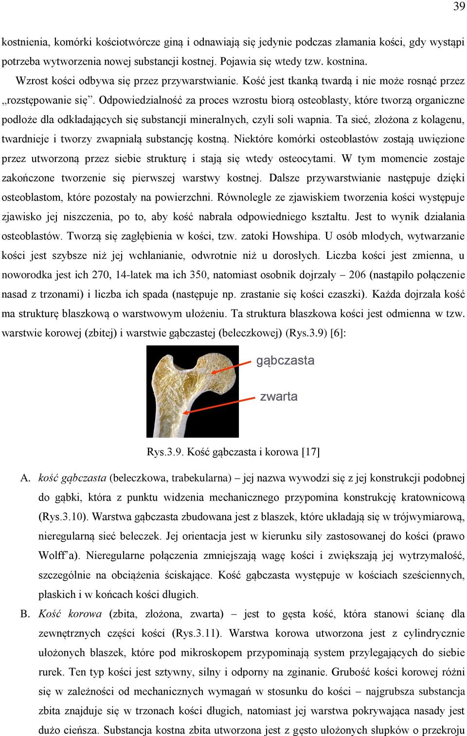 Odpowiedzialność za proces wzrostu biorą osteoblasty, które tworzą organiczne podłoże dla odkładających się substancji mineralnych, czyli soli wapnia.