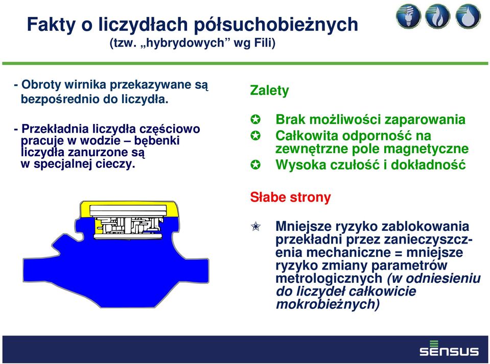 Zalety Brak możliwości zaparowania Całkowita odporność na zewnętrzne pole magnetyczne Wysoka czułość i dokładność Słabe strony