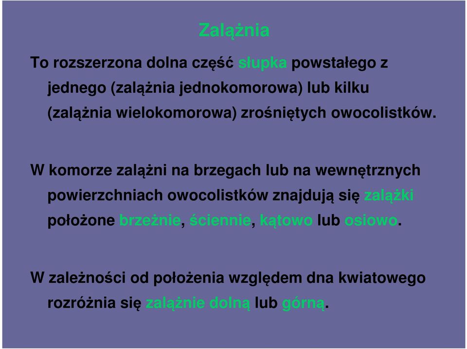 W komorze zalążni na brzegach lub na wewnętrznych powierzchniach owocolistków znajdują się