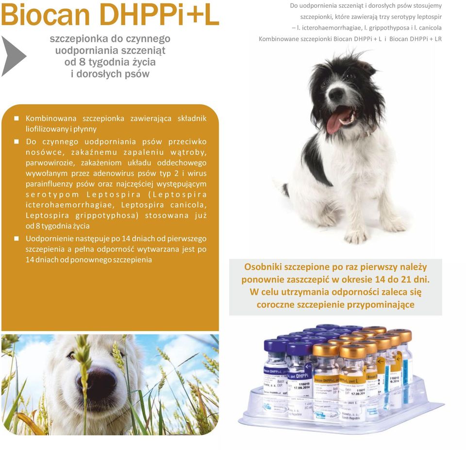 canicola Kombinowane szczepionki Biocan DHPPi + L i Biocan DHPPi + LR Kombinowana szczepionka zawierająca składnik liofilizowany i płynny Do czynnego uodporniania psów przeciwko nosówce, zakaźnemu