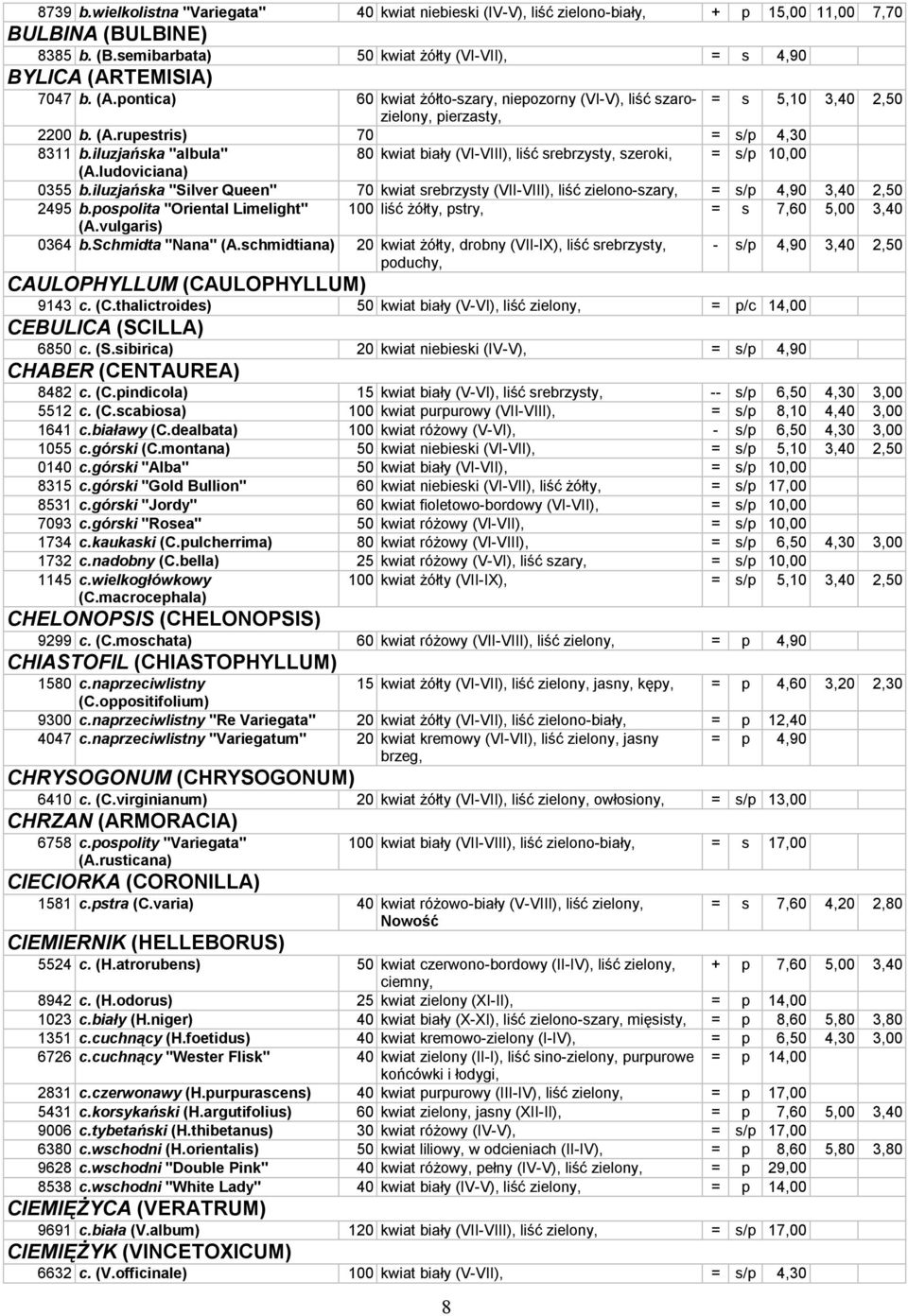 iluzjańska "albula" 80 kwiat biały (VI-VIII), liść srebrzysty, szeroki, = s/p 10,00 (A.ludoviciana) 0355 b.