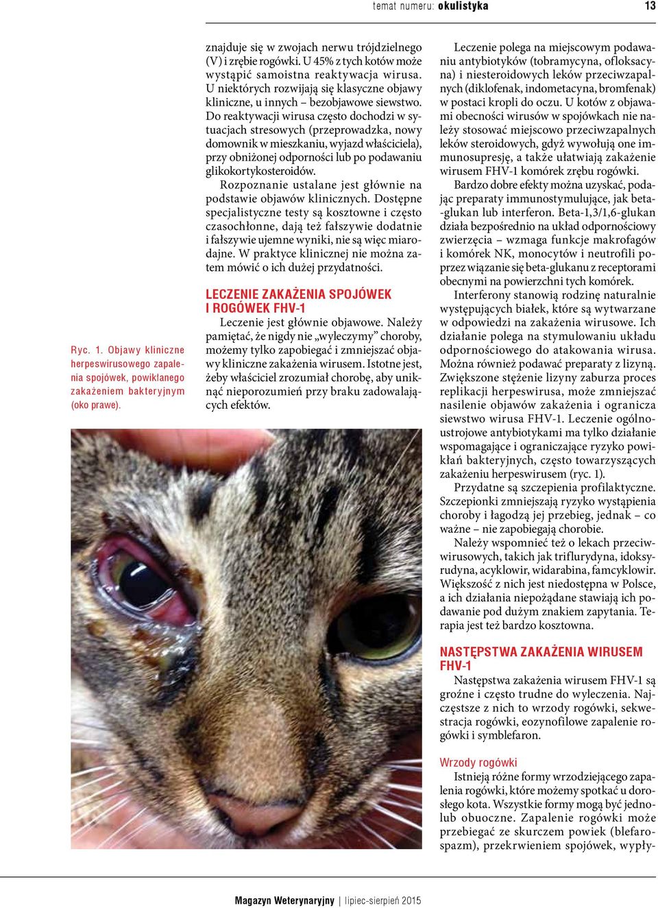 U niektórych rozwijają się klasyczne objawy kliniczne, u innych bezobjawowe siewstwo.