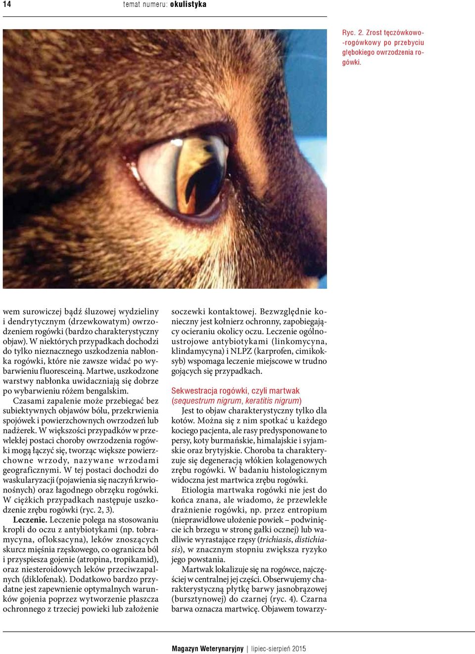 W niektórych przypadkach dochodzi do tylko nieznacznego uszkodzenia nabłonka rogówki, które nie zawsze widać po wybarwieniu fluoresceiną.