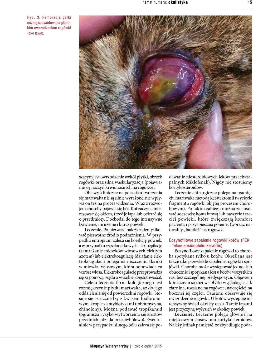 Objawy kliniczne na początku tworzenia się martwaka nie są silnie wyrażone, nie wpływa on też na proces widzenia. Wraz z rozwojem choroby pojawia się ból.