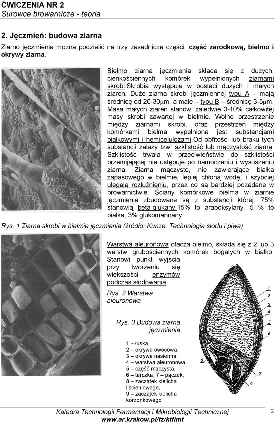 Duże ziarna skrobi jęczmiennej typu A mają średnicę od 20-30µm, a małe typu B średnicę 3-5µm. Masa małych ziaren stanowi zaledwie 3-10% całkowitej masy skrobi zawartej w bielmie.