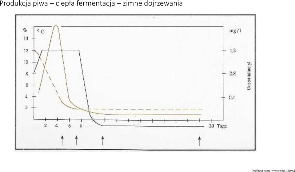 fermentacja