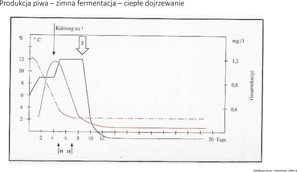 fermentacja