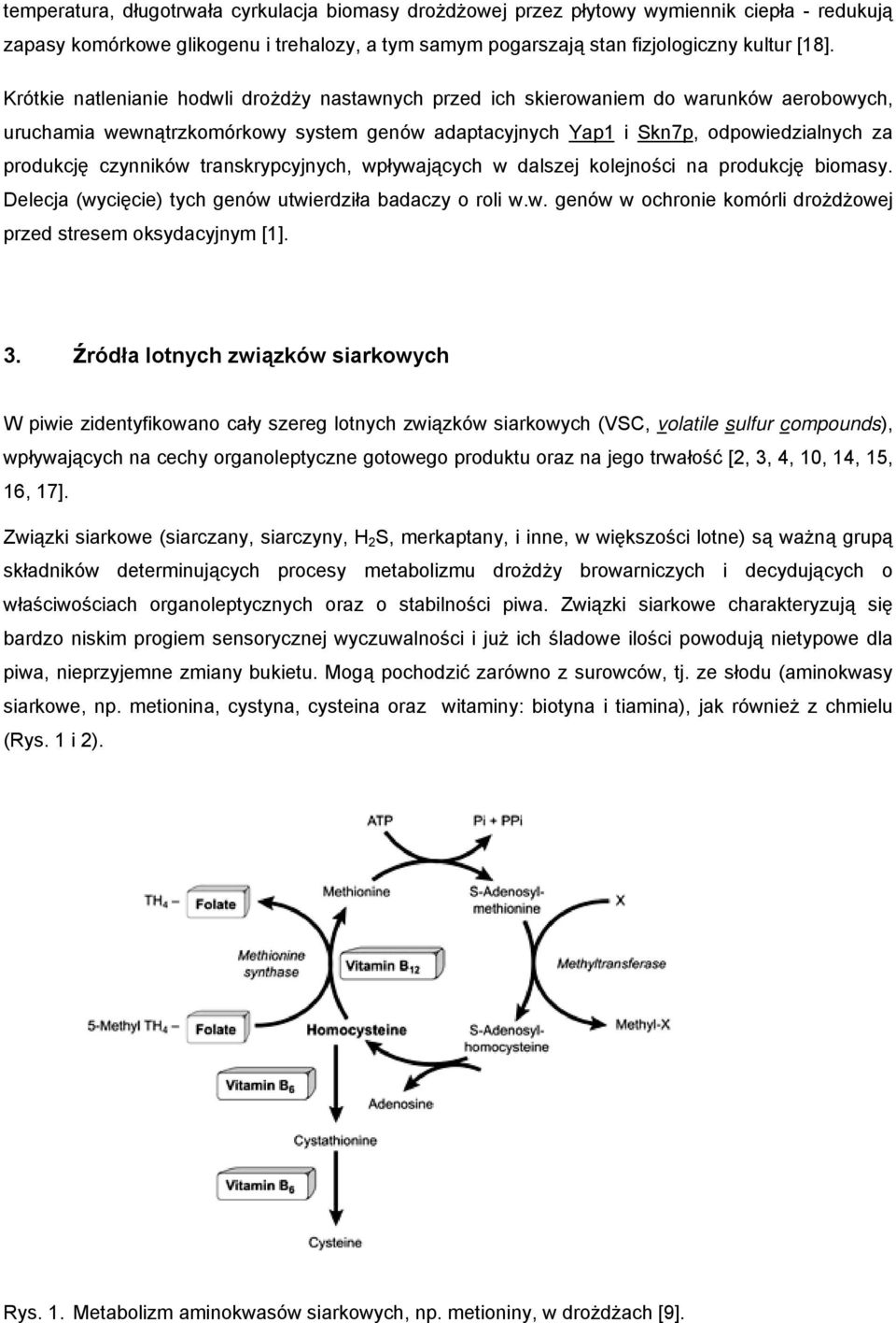 czynników transkrypcyjnych, wpływających w dalszej kolejności na produkcję biomasy. Delecja (wycięcie) tych genów utwierdziła badaczy o roli w.w. genów w ochronie komórli drożdżowej przed stresem oksydacyjnym [1].